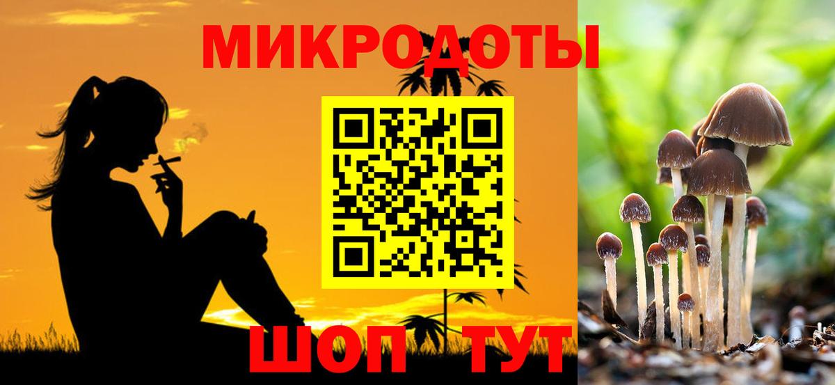 Псилоцибиновые грибы Psilocybe Лесосибирск